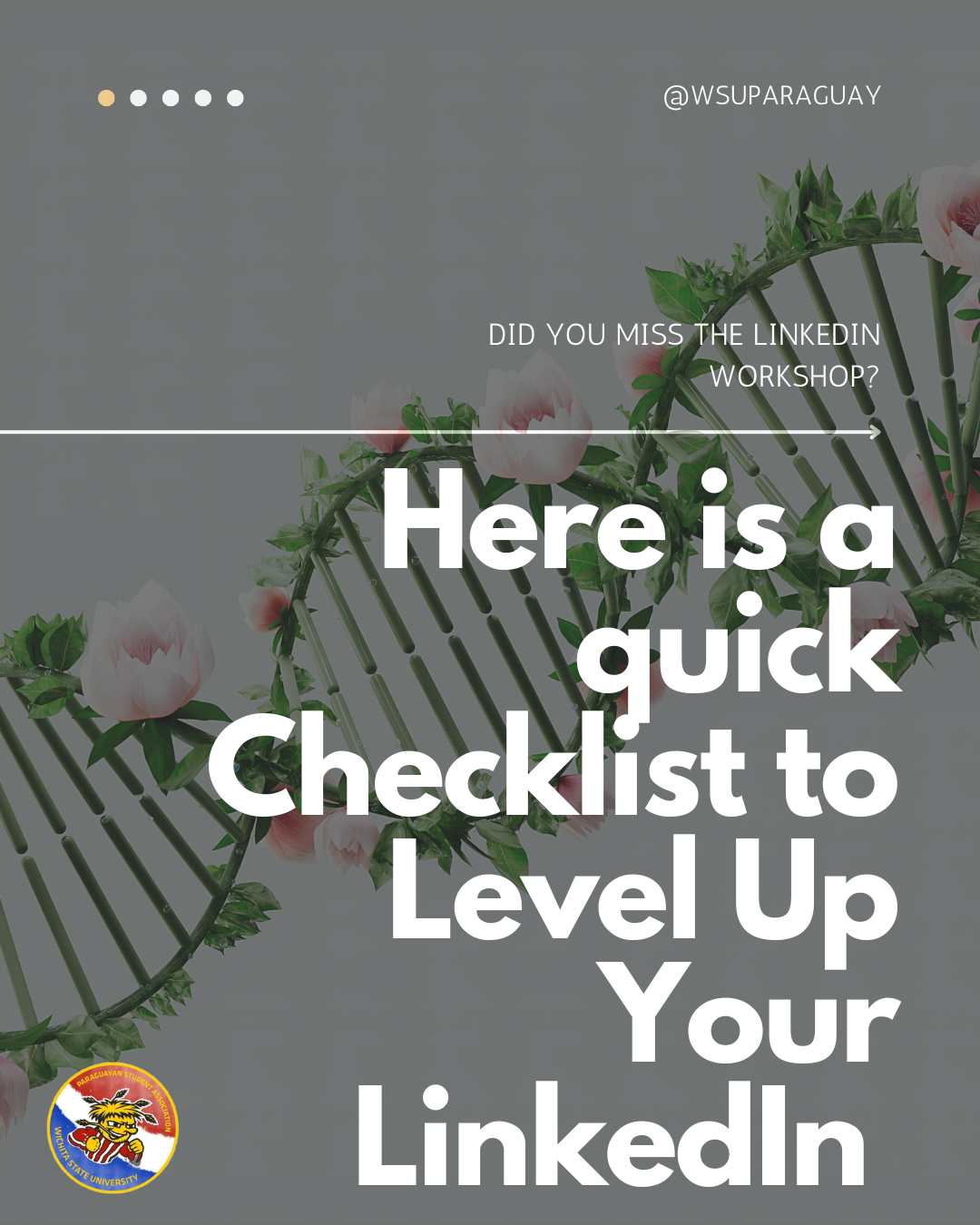 Instagram post preview 1